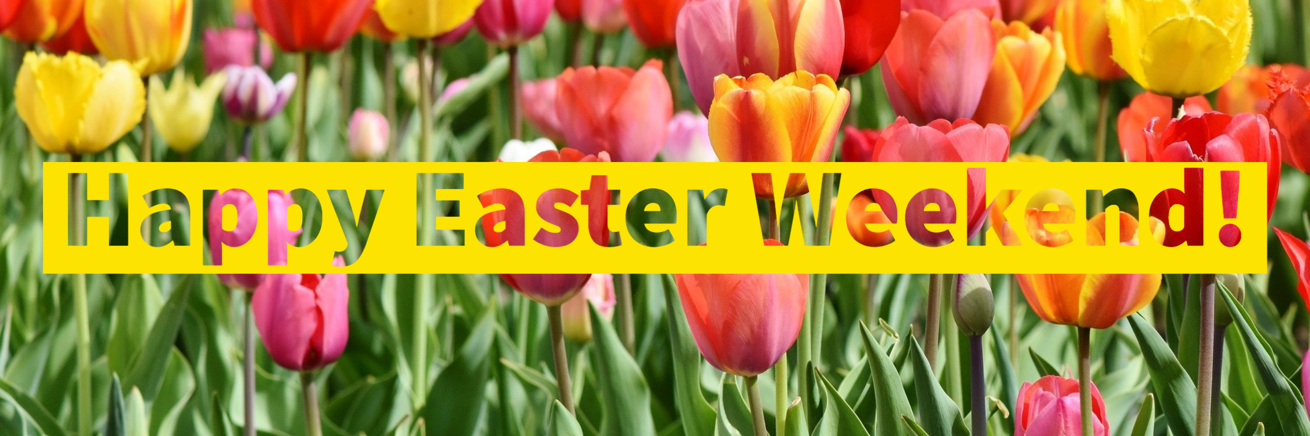 Happy Easter Sunday at Nature Chat