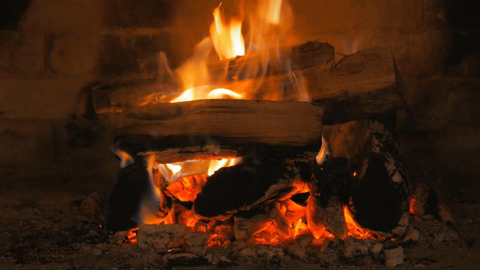 Nature Chat Fireplace