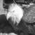 Profile picture of Griffin Wiens