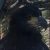 Profile picture of CountryGirl75
