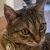Profile picture of Malou